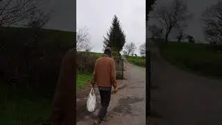 Recycling in rural France (with horses, donkey, and cows). #travel #frenchvillage #rurallife