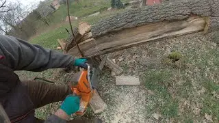 Wycinka Powalonego Drzewa Na Wysokiej Skarpie - Luźne Rozmowy Podczas Pracy - Husqvarna 550XP