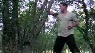 Chuan Qi Dao: tree training