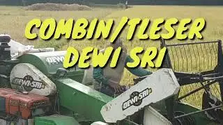 COMBIN/TLESER DEWI SRI