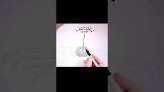 How To Draw A Spider!