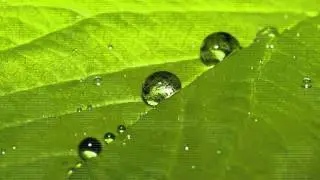 Solar Fields - Something Crystal (Cybereye 2011)