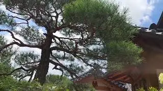 South Korea Traditional Village