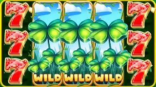 20 BULKY FRUITS EGT