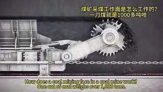 What is the working face of a fully mechanized coal mining operation like?