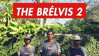 THE BRELVIS 2