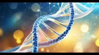 Gossypol Inhibit Protein Activity in the Animal Cell Culture and Probably can Act