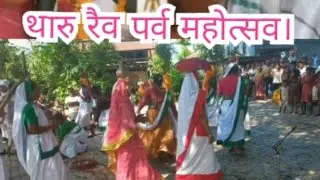 रैव पर्व महोत्सव २०८२ चौ न पा-५ उदयपुर सिवाई। Tharu Pauranik Nach.