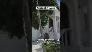 Touring the upscale neighborhood of Nassau, Bahamas with the best tour guide! #nassaubahamas