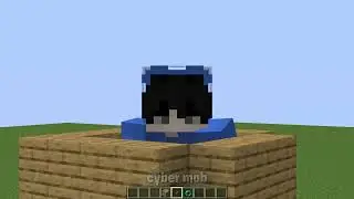 what's inside the stone button