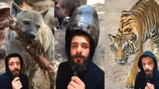 تجميعة الحياة من وجهة نظر