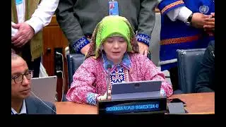 Khanty-Mansiysk Autonomous District. UN Permanent Forum on Indigenous Issues, 24th session (Rus)