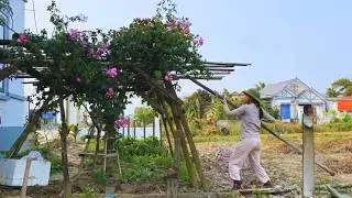 Simple Life: Creating a Pollinator Haven in Your Country Garden - Growing Flowers, Catching Fish