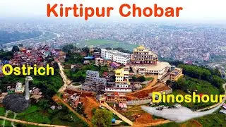 Ostrich Found In Kirtipur | Chobar | Whoopee Land Amusement