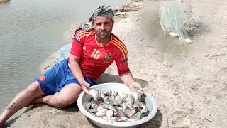 صيد سماك بكثرة في بحر النجف
