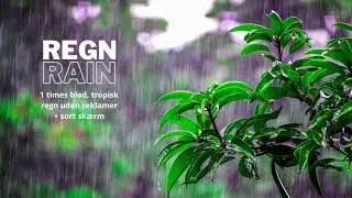 Regn 1 time uden reklamer - Rain 1 hour with no commercials
