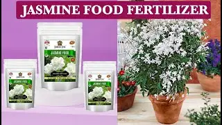 Garden King Jasmine Food Organic Fertilizer for Jasmine Plants