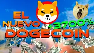 SHIBA INU | Puede Hacerte RICO? C&oacute;mo Comprar, Precio, y m&aacute;s!!