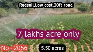 || 7 lakhs acre only|| 5.50 acres ||Redsoil,30ft road,Low cost||#Kurnool
