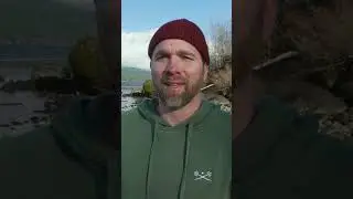 starting the new year alone
