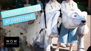 Disney's Animal Kingdom at Christmas!