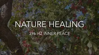 🇨🇦 ASMR 🎧 Nature Healing | 396 Hz Music Birdsong Stress Release & Inner Peace | Fall Woodland 🍁 