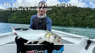 LADYFISH LANGKAWI 2025 ON FLY