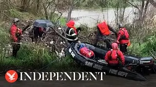 California dogs ride speedboat to safety after overflowing river traps them on island