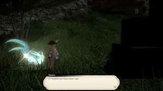 Final Fantasy XIV: A Realm Reborn - 401