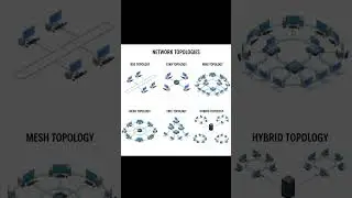 Network Topologies Explained | Network Educative