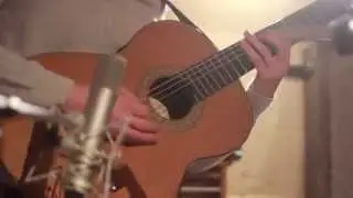 Palladio - Fingerstyle Guitar Cover by Flo Schneider