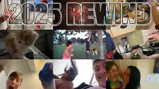 THE DAWN & STEPHEN REWIND 2025