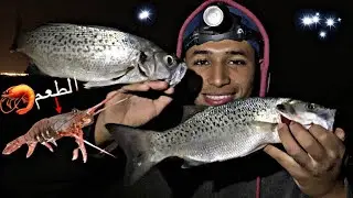 الصيد بالقمرون الأحمر 🦐(جمبري)+مونتاج أنصحك بتجربته في المناطق السخرية💯 Pêche à la crevette