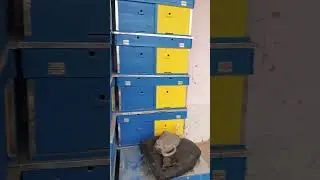 23 декабря 2025 г.