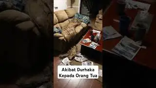 Anak Durhaka Dikutuk Viral Dan Trending #shorts