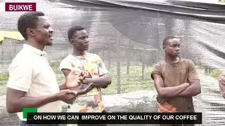Leveraging Digital Technologies to enhance access to certified Coffee Seedlings: Team Honeybees_UG