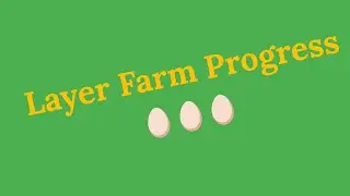 10 Months in Poultry Farming | Egg Production Update at Nobinche Farms