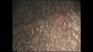 Spelunking Clip 4