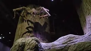 Making of Harry Potter Tour - Aragog's Lair in the Forbidden Forest