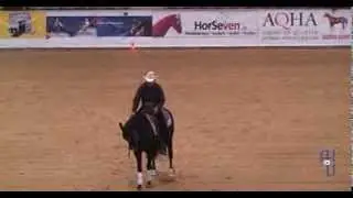 SR Smart Smokin Chex DQHA Reining Futurity Champion Kreuth 2013