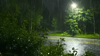 Ultimate Healing Rain Sounds on Quiet Street | Relaxing White Noise for Deep Sleep & Insomnia