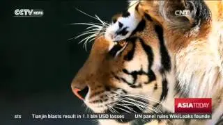 Animal poaching endangers wild animals in Vietnam