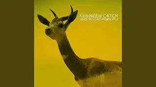 Catch (Ersin AVCI Remix Long Edit)