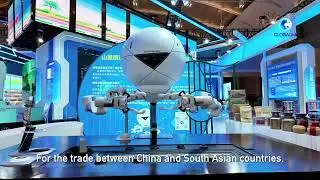 GLOBALink | China-South Asia Expo key platform for regional cooperation: experts