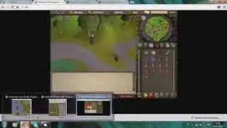 loot from clue lvl 2 zamorak page 2