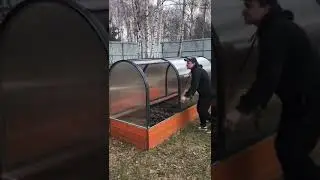 Парник Тюльпан Мини
