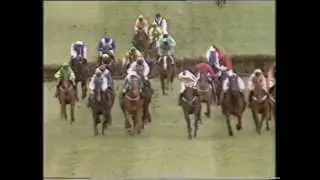 1988 Sun Alliance Novices' Hurdle