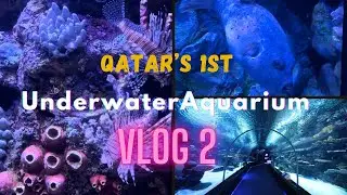 Aquarium Museum At Hamad Port Visitors Center| Doha Qatar 🇶🇦 #aquarium #trending #viral #qatar