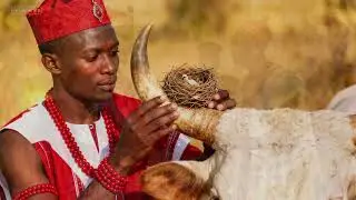 A Test, A Trick, A Throne &mdash; The Remarkable Rise of Oba Uwakhuahen