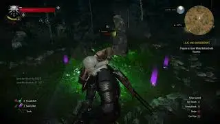 The Witcher 3: Wild Hunt | Place of Power | Axii  Sign | Wraith Attack | Wolf 🐺 Attack #witcher